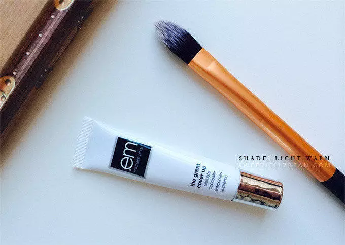 The Great Cover Up Concealer Review